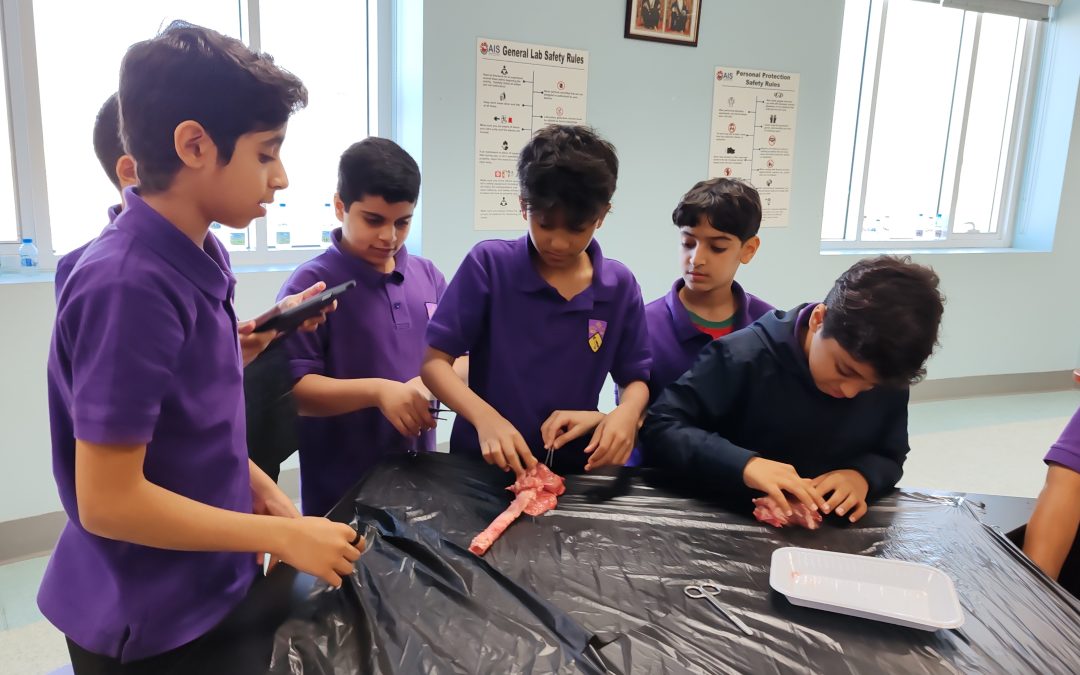 Primary  Adventures: Engaging Learning and Exciting Events Ahead