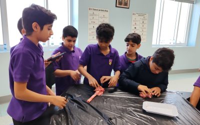 Primary  Adventures: Engaging Learning and Exciting Events Ahead