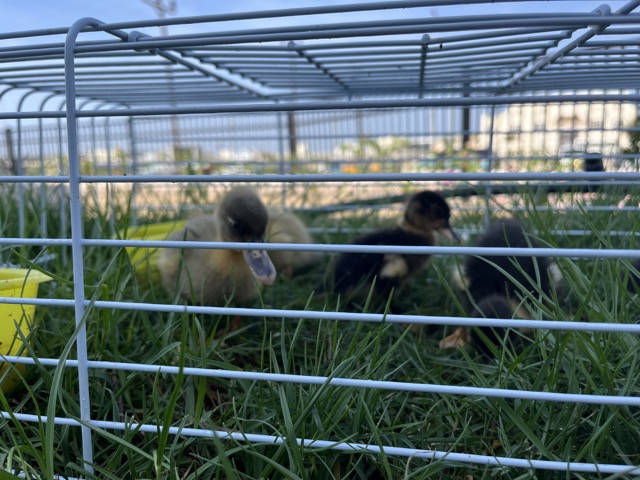 Learning doesn’t just happen inside a classroom!