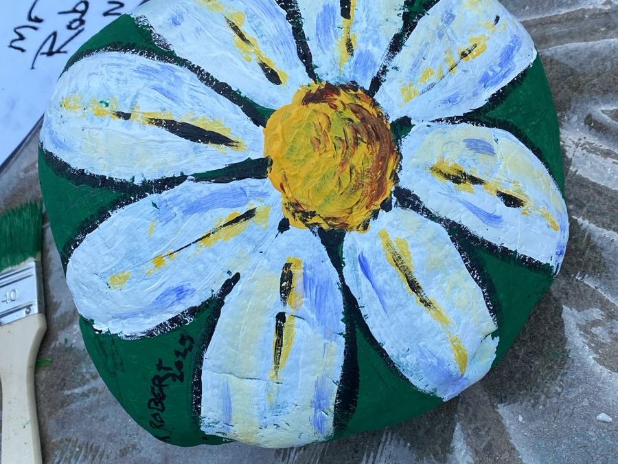 Secondary STEM Day Success!